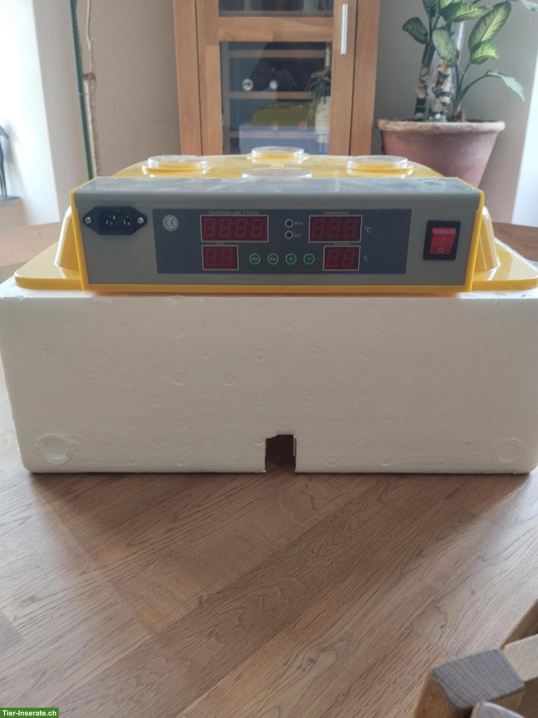 Bild 2: Wiltec Brutmaschine/Inkubator, voll automatisch