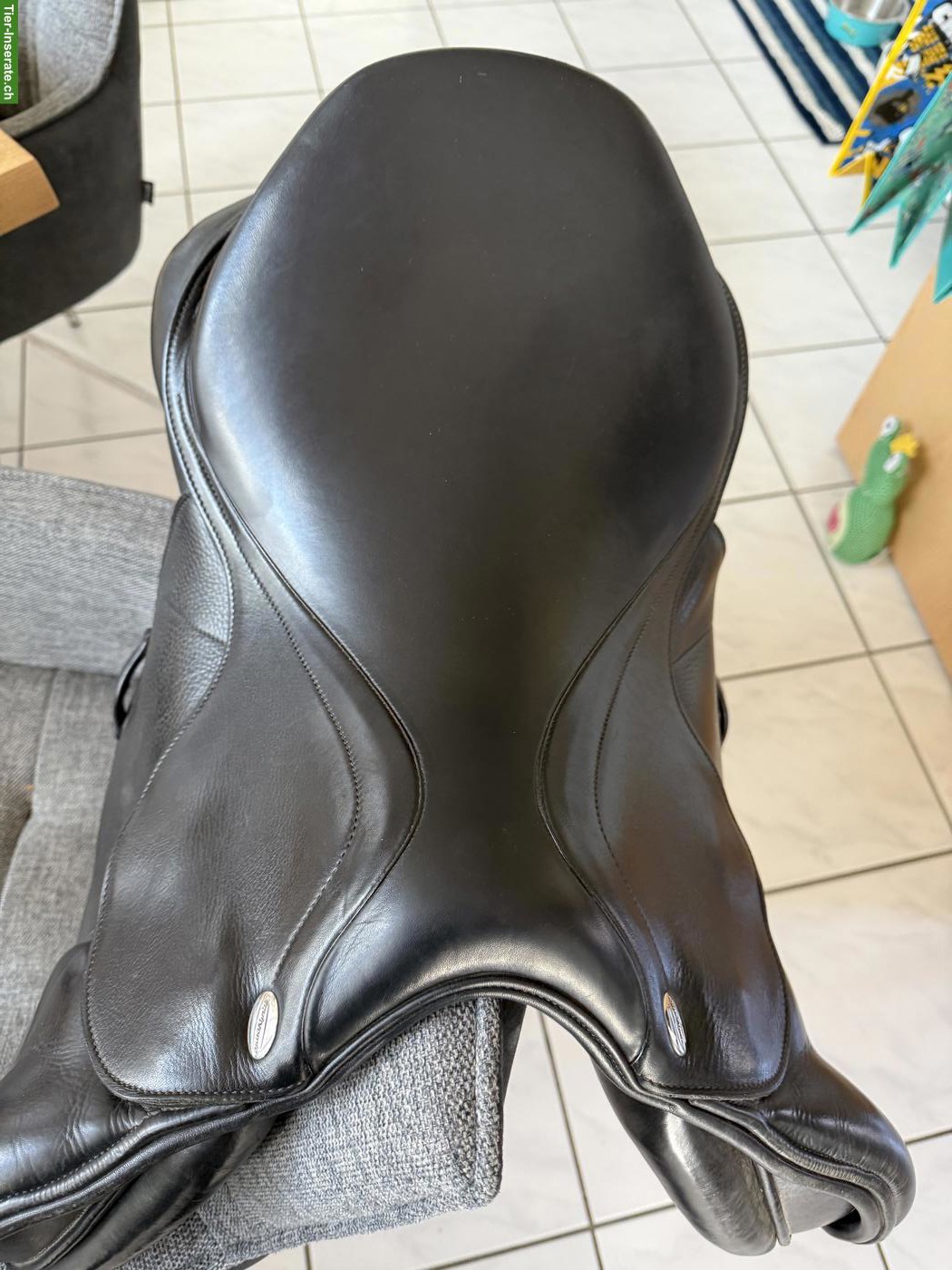 Bild 2: Equinomic Springsattel 16.5 Zoll zu verkaufen