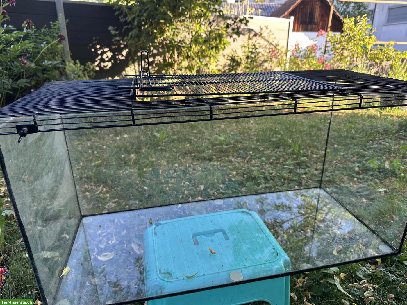 Terrarium für Zwerghamster oder Zwergwachteln