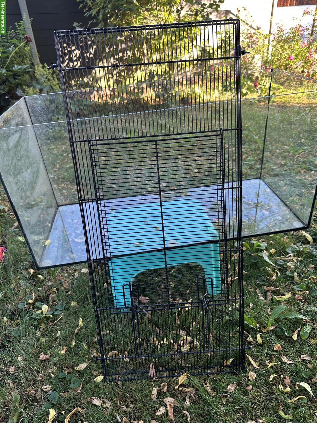 Bild 2: Terrarium für Zwerghamster oder Zwergwachteln