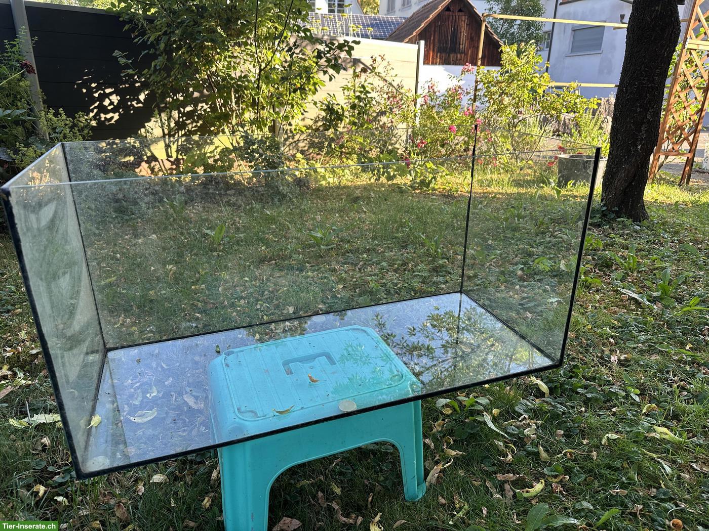 Bild 3: Terrarium für Zwerghamster oder Zwergwachteln