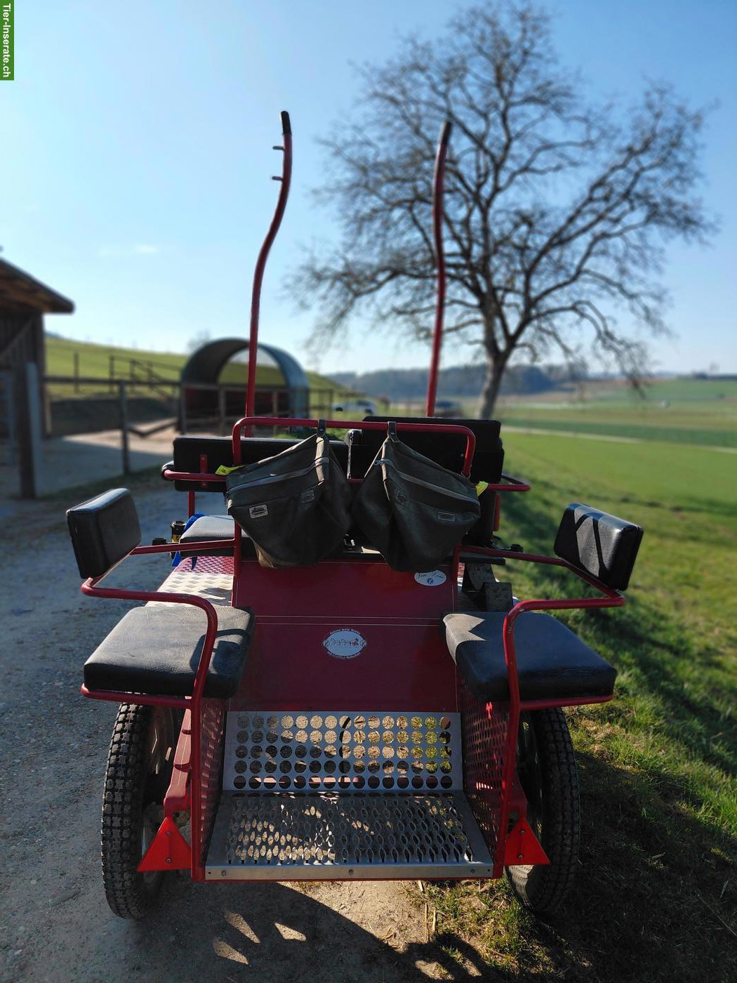 Bild 2: Occasion Marathonwagen zu verkaufen, einspännig