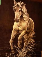 Suche Einstellmöglichkeit für 3-4 Ponys/Kleinpferde