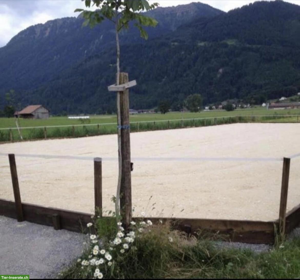 Bild 7: Offenstall Platz frei für 1-2 Wallache, Benken SG im Linthgebiet