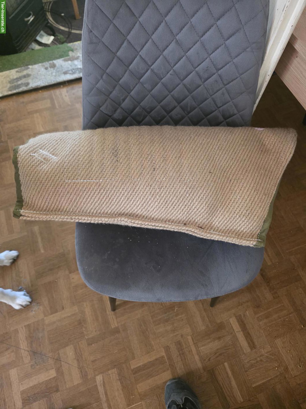 Beissarm für Hunde zu verkaufen