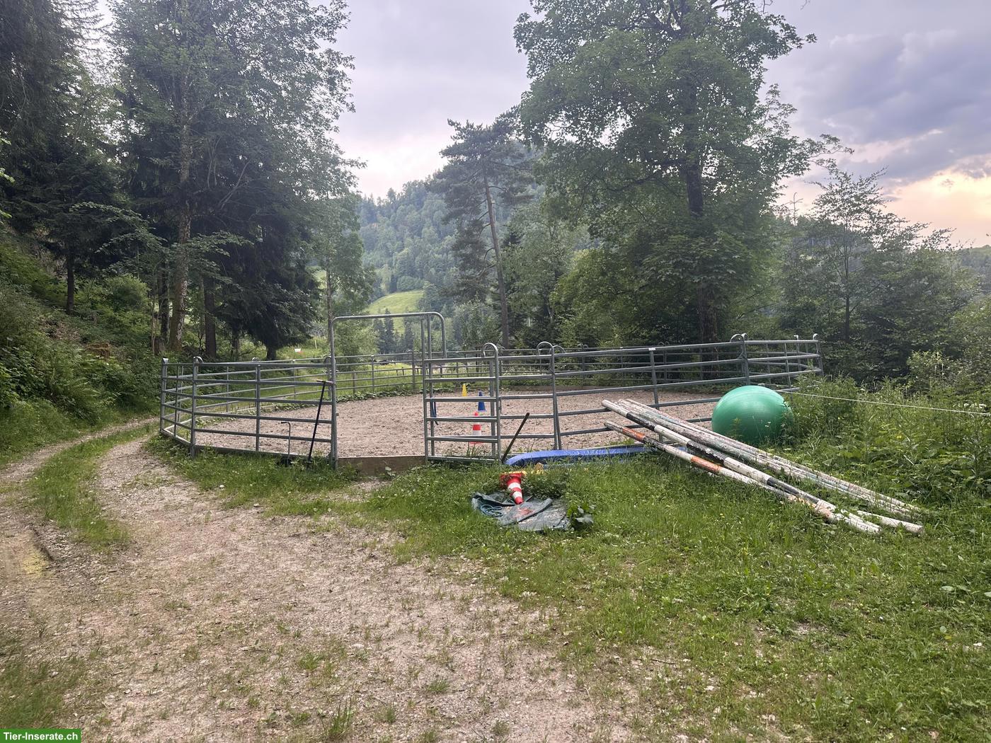 Bild 3: Offenstallplatz für Pferd, Maultier, Pony oder Esel, Steg im Tösstal