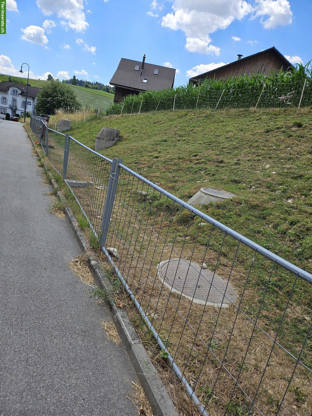 Zaun mobil, Absperrgitter zu verkaufen
