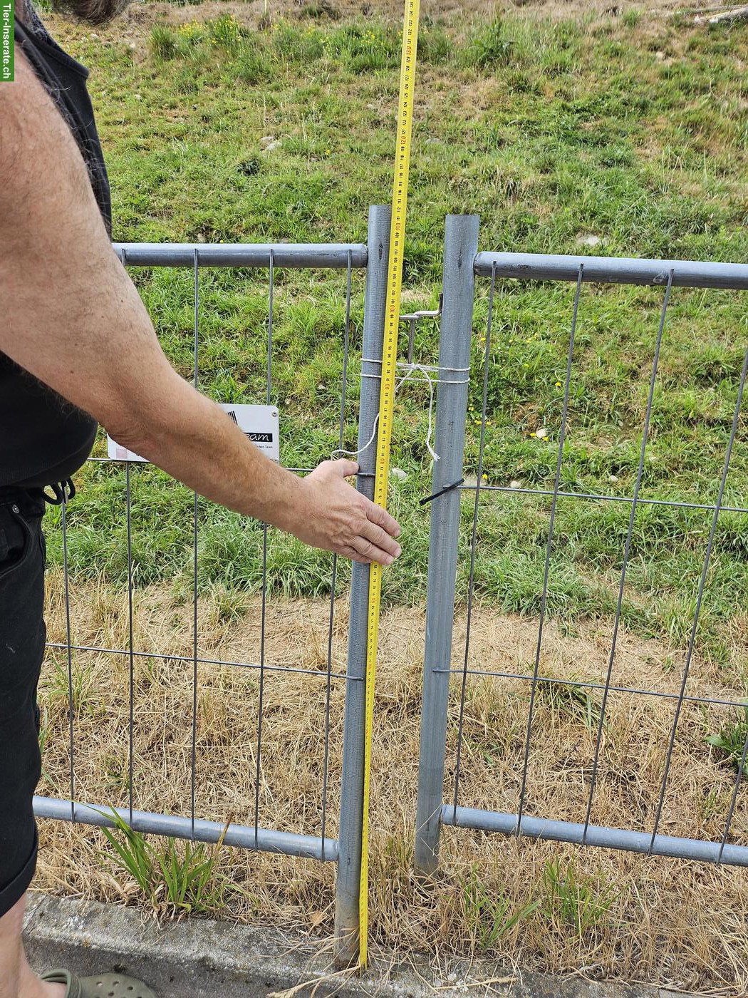 Bild 3: Zaun mobil, Absperrgitter zu verkaufen