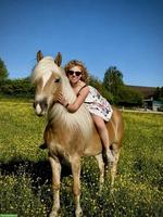 Reitbeteiligung für hübsche Haflinger Stute im ZH-Unterland