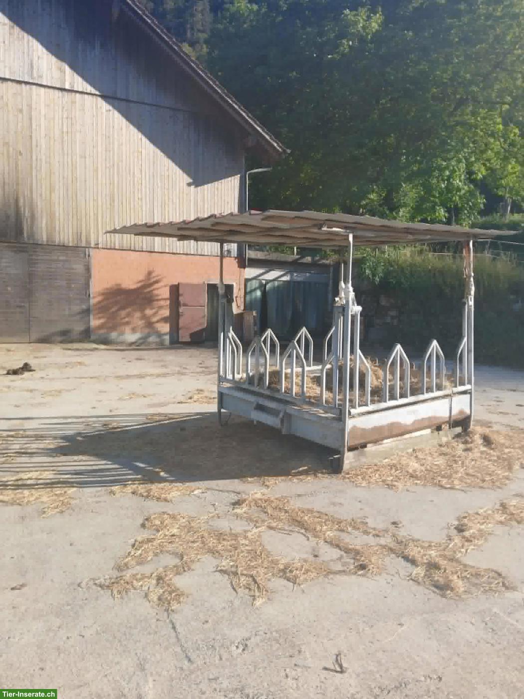 Bild 5: Freilaufstall zu vermieten in Trimbach SO