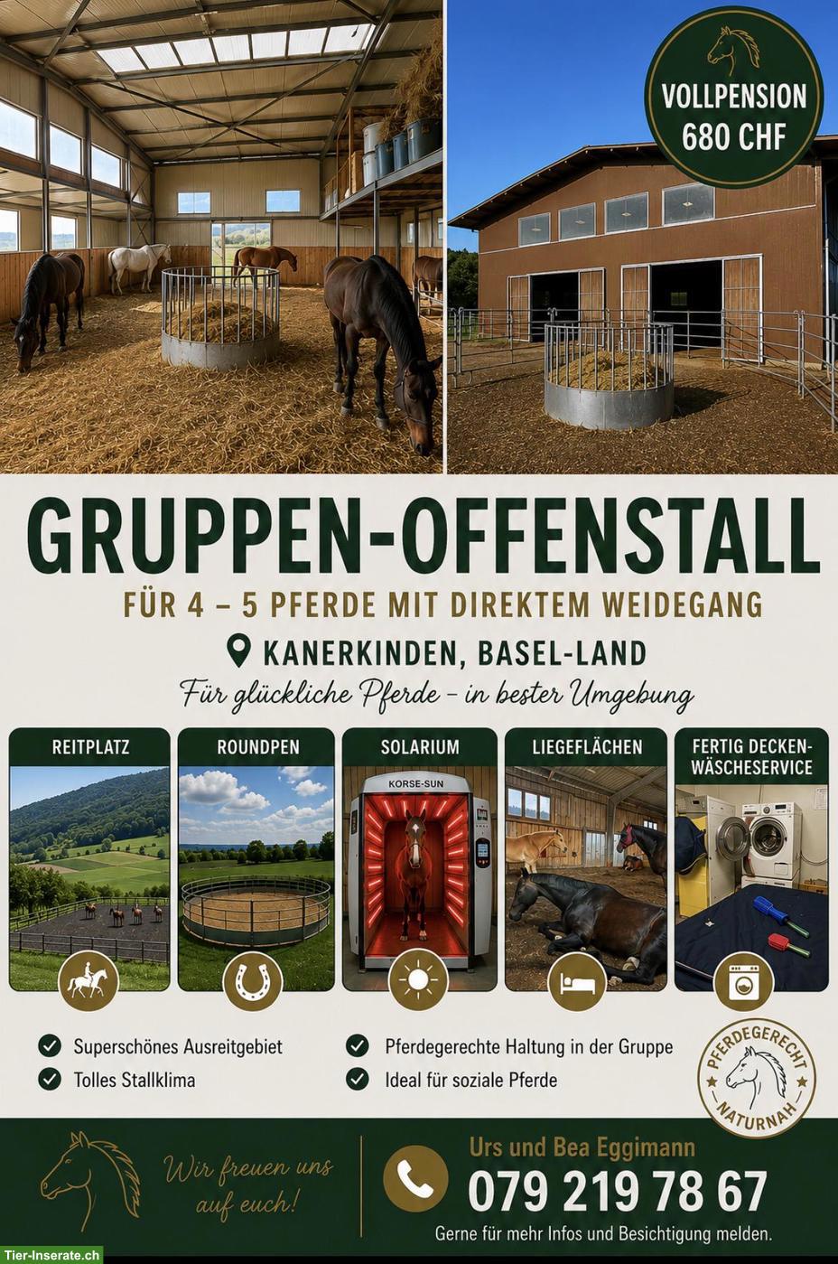 Offen-Gruppenstall für 4-5 Pferde in Känerkinden BL