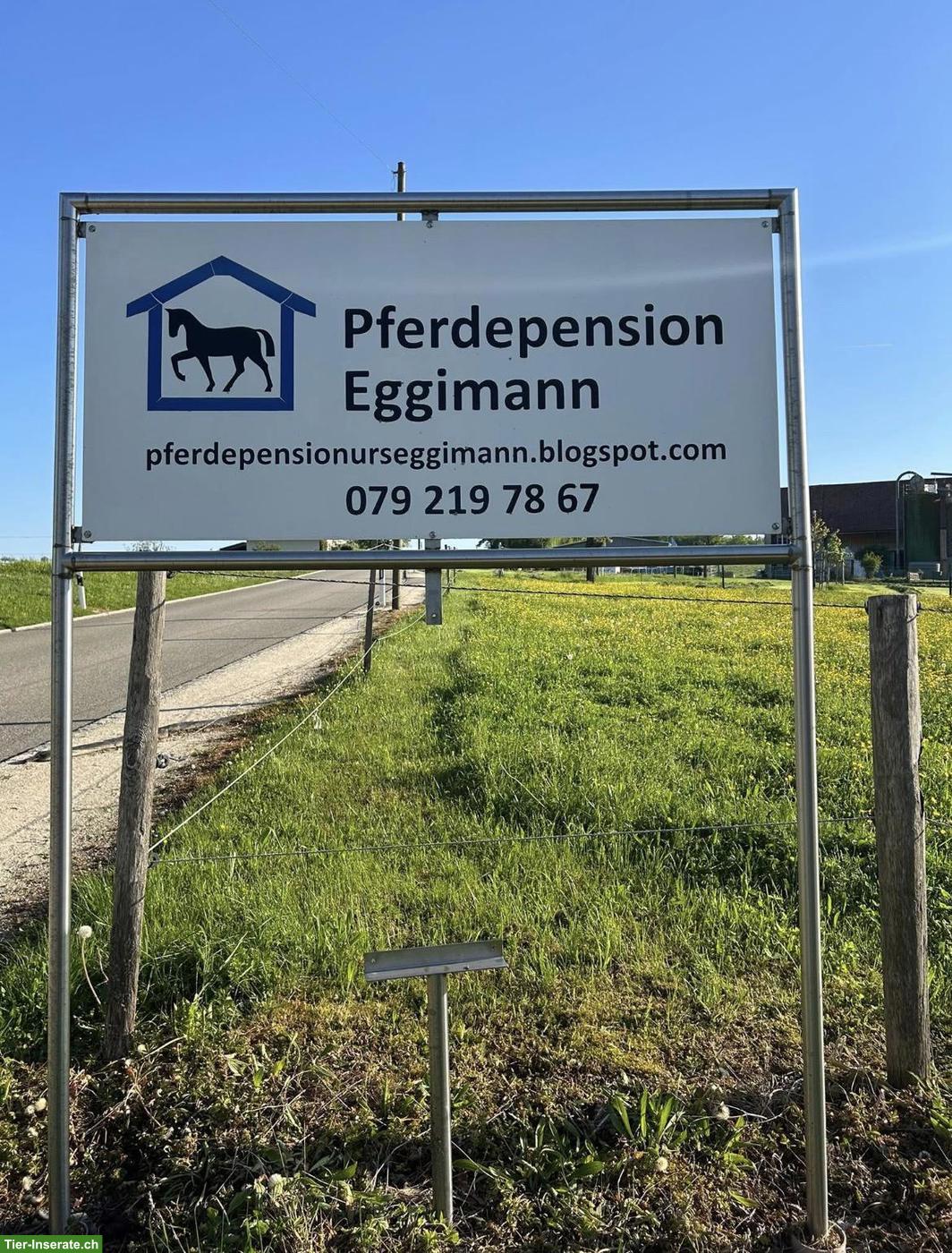 Bild 5: Offen-Gruppenstall für 4-5 Pferde in Känerkinden BL