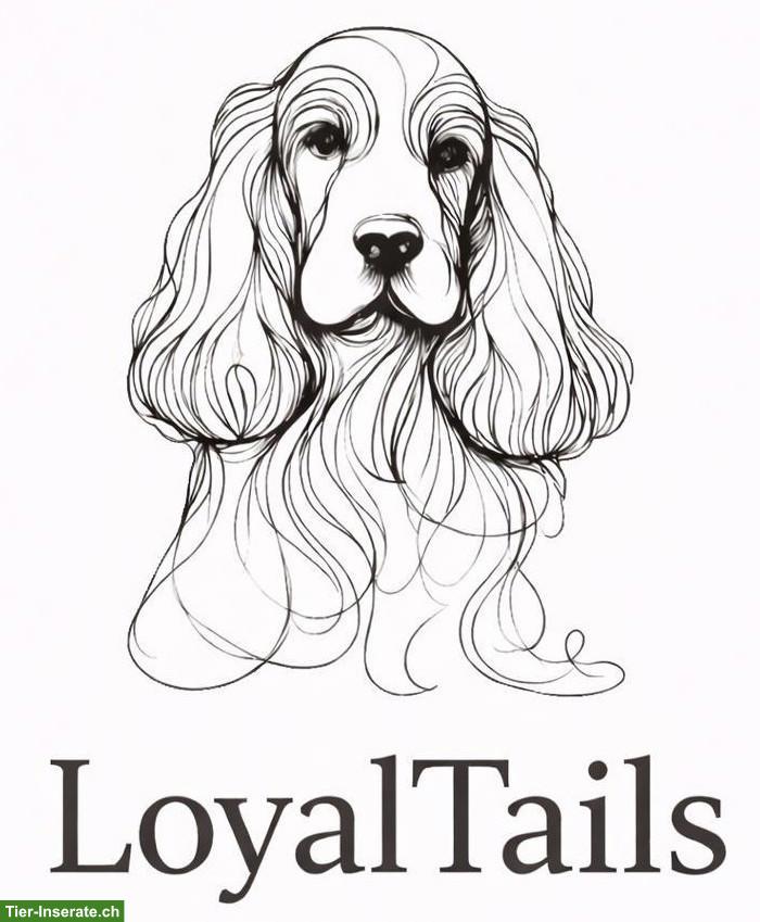 LoyalTails Hundebetreuung, wir sorgen für HappyTails