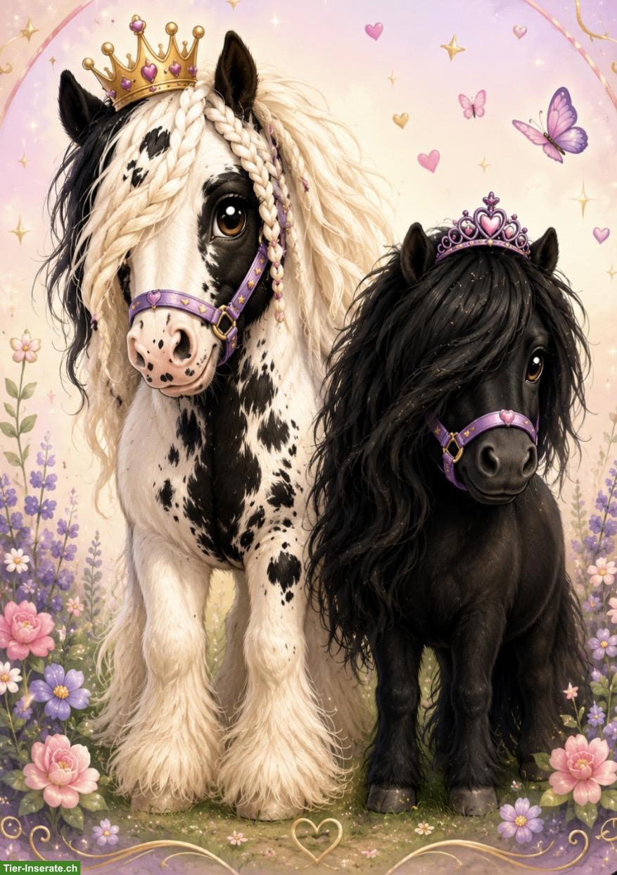 Kleine Ponys, grosse Momente, für strahlende Kinderaugen