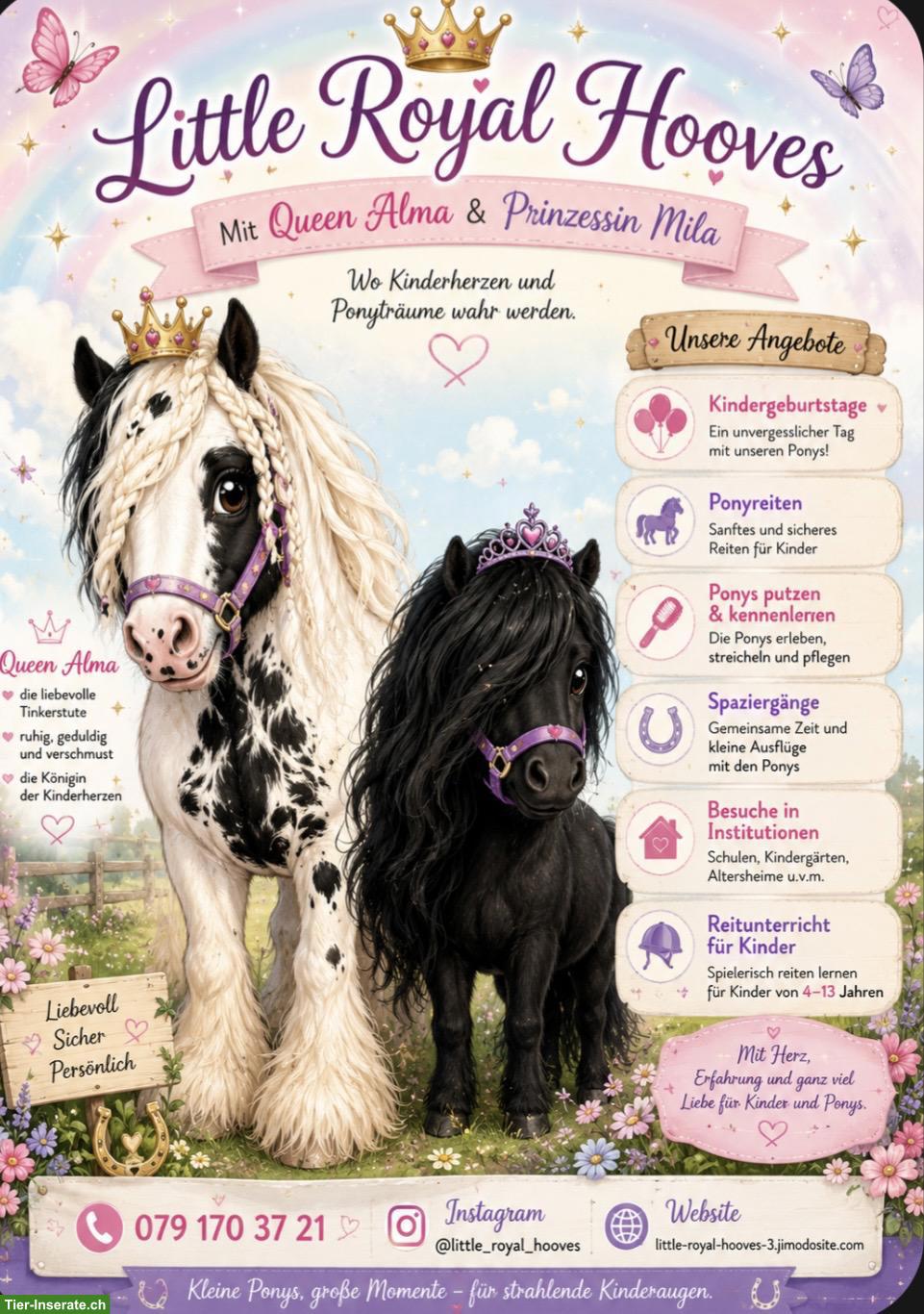 Bild 2: Kleine Ponys, grosse Momente, für strahlende Kinderaugen