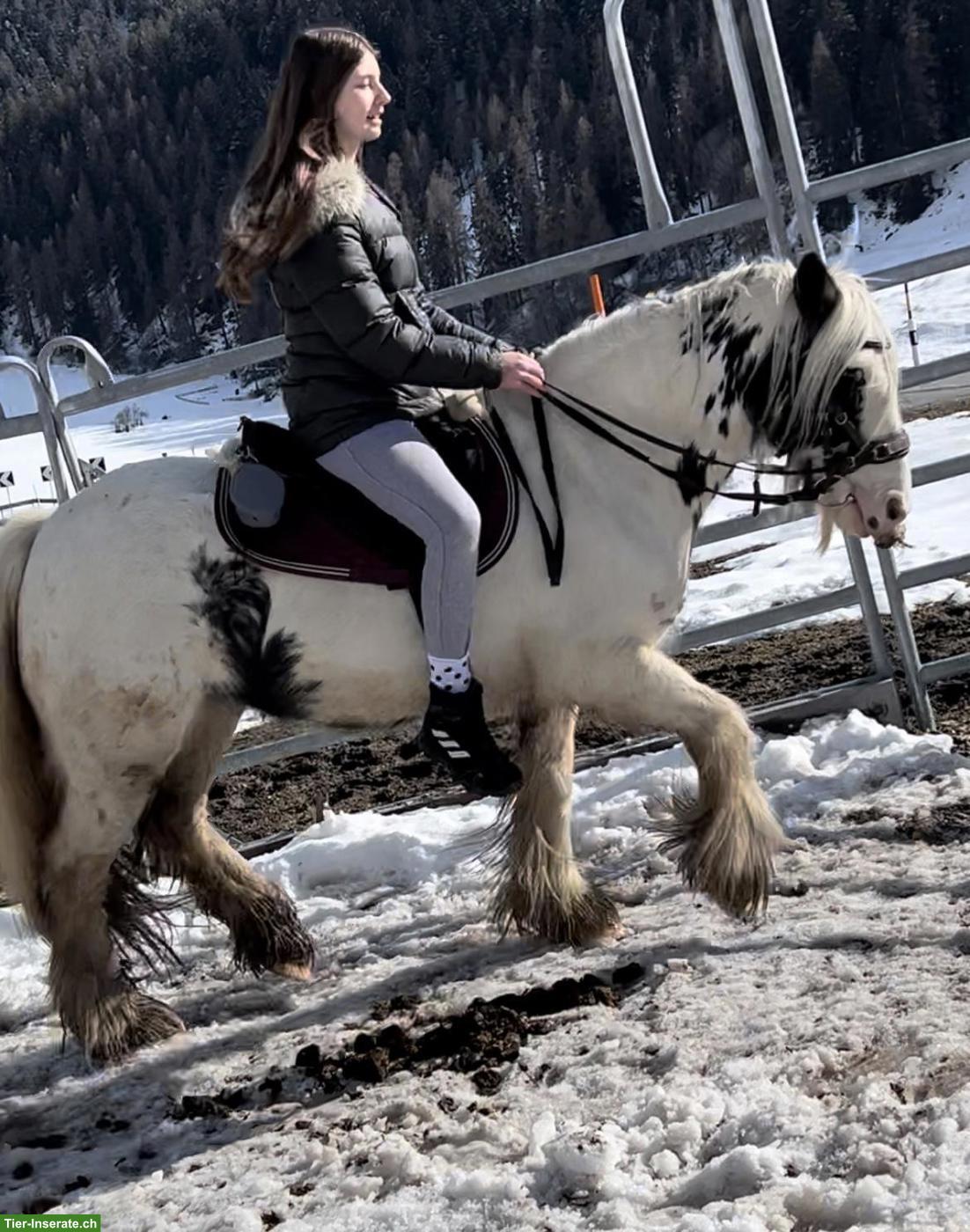 Bild 9: Kleine Ponys, grosse Momente, für strahlende Kinderaugen