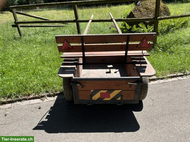 Bild 2: Milchwagen und Kummetgeschirr zu verkaufen