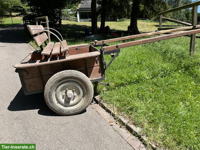 Bild 3: Milchwagen und Kummetgeschirr zu verkaufen