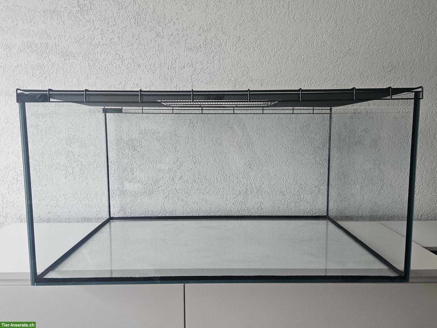 Nager Glasterrarium mit Deckel zu verkaufen