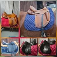 Prestige Atena Evo HP & Amerigo Pinerolo VSD & Felix Bühler VSD