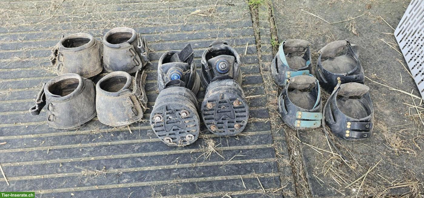 Bild 5: Pferdezubehör zu verkaufen