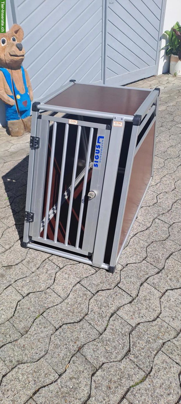 Sigus Hundebox/Transportbox zu verkaufen