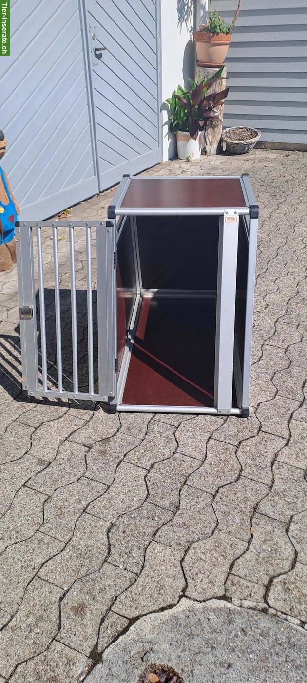 Bild 2: Sigus Hundebox/Transportbox zu verkaufen