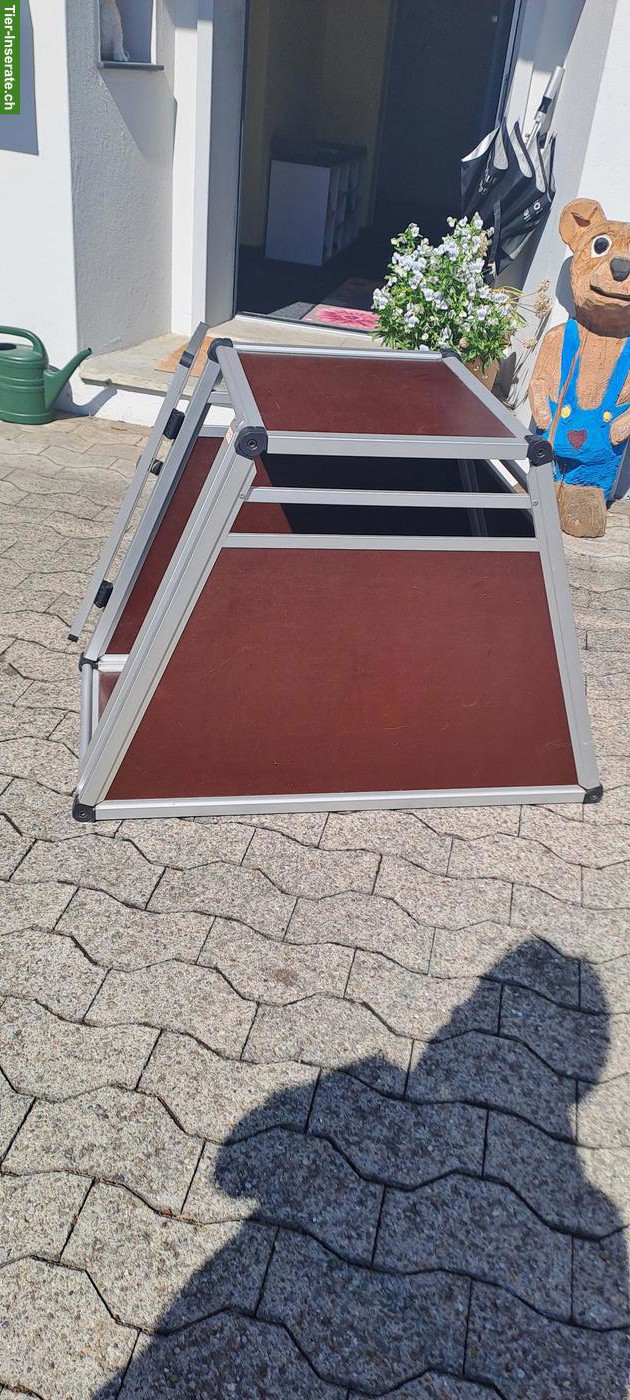 Bild 3: Sigus Hundebox/Transportbox zu verkaufen