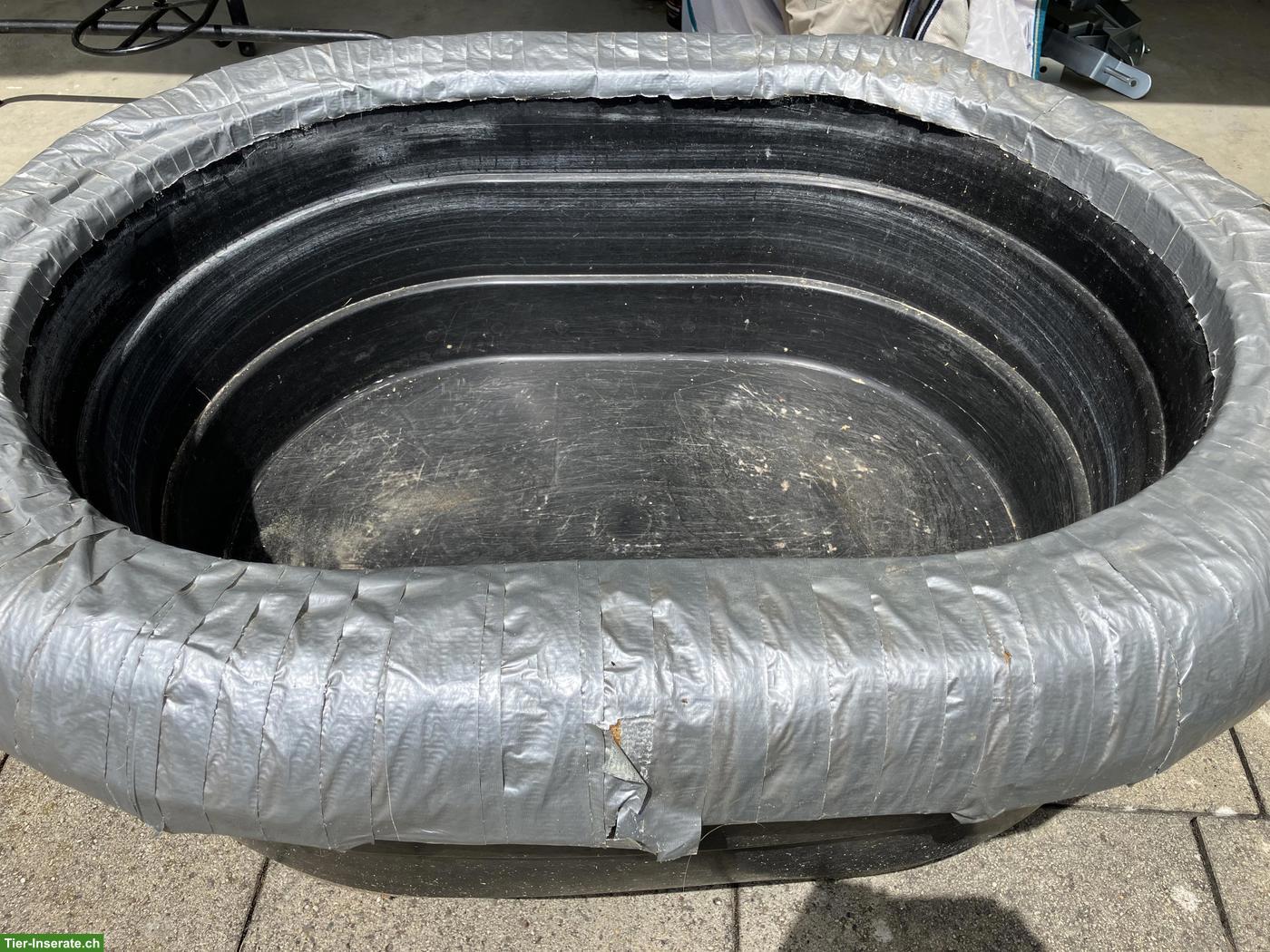 Bild 2: Beheizbare Wasserwanne für Pferde zu verkaufen
