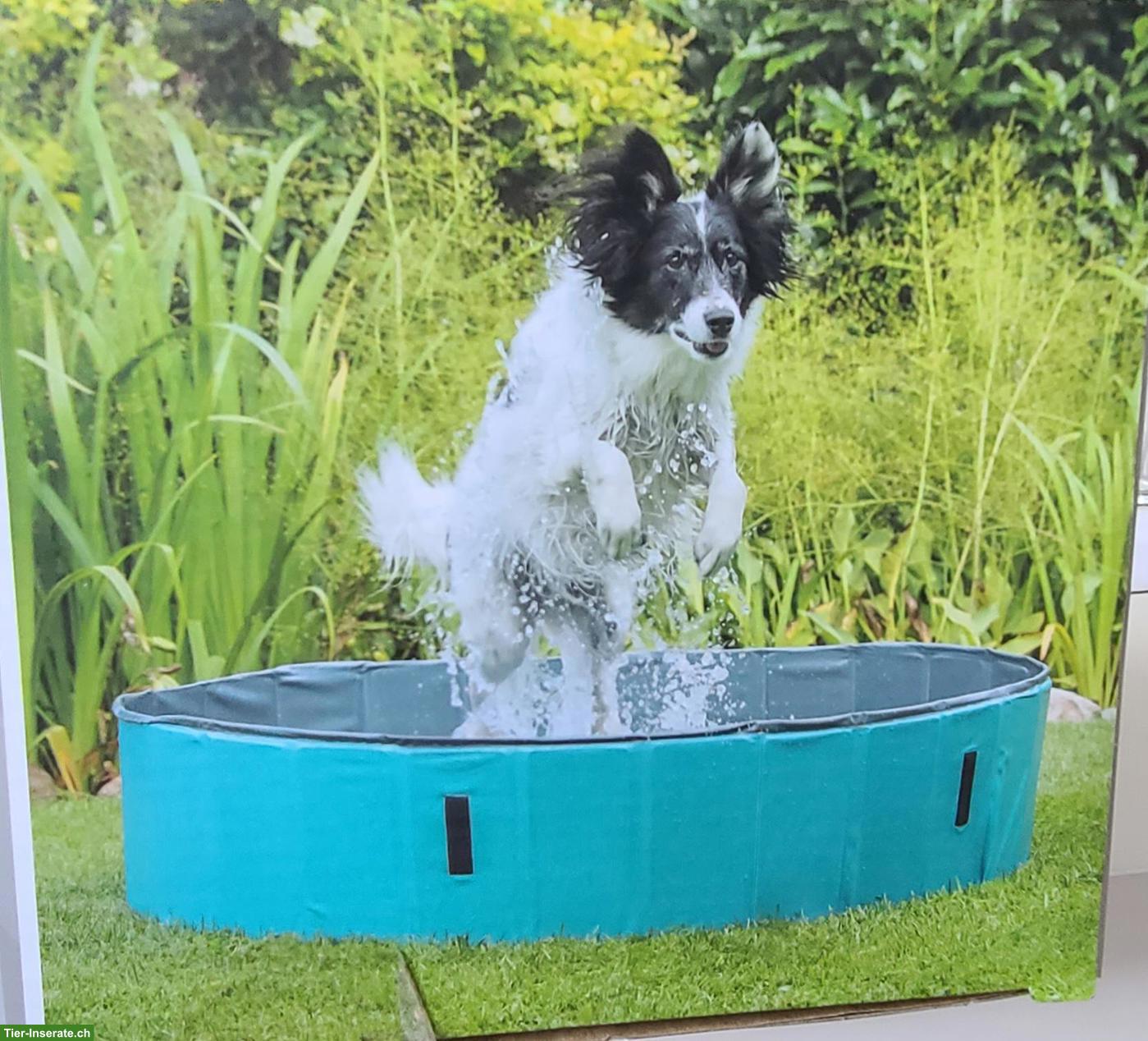 Bild 2: Hundepool zu verkaufen, neuwertig