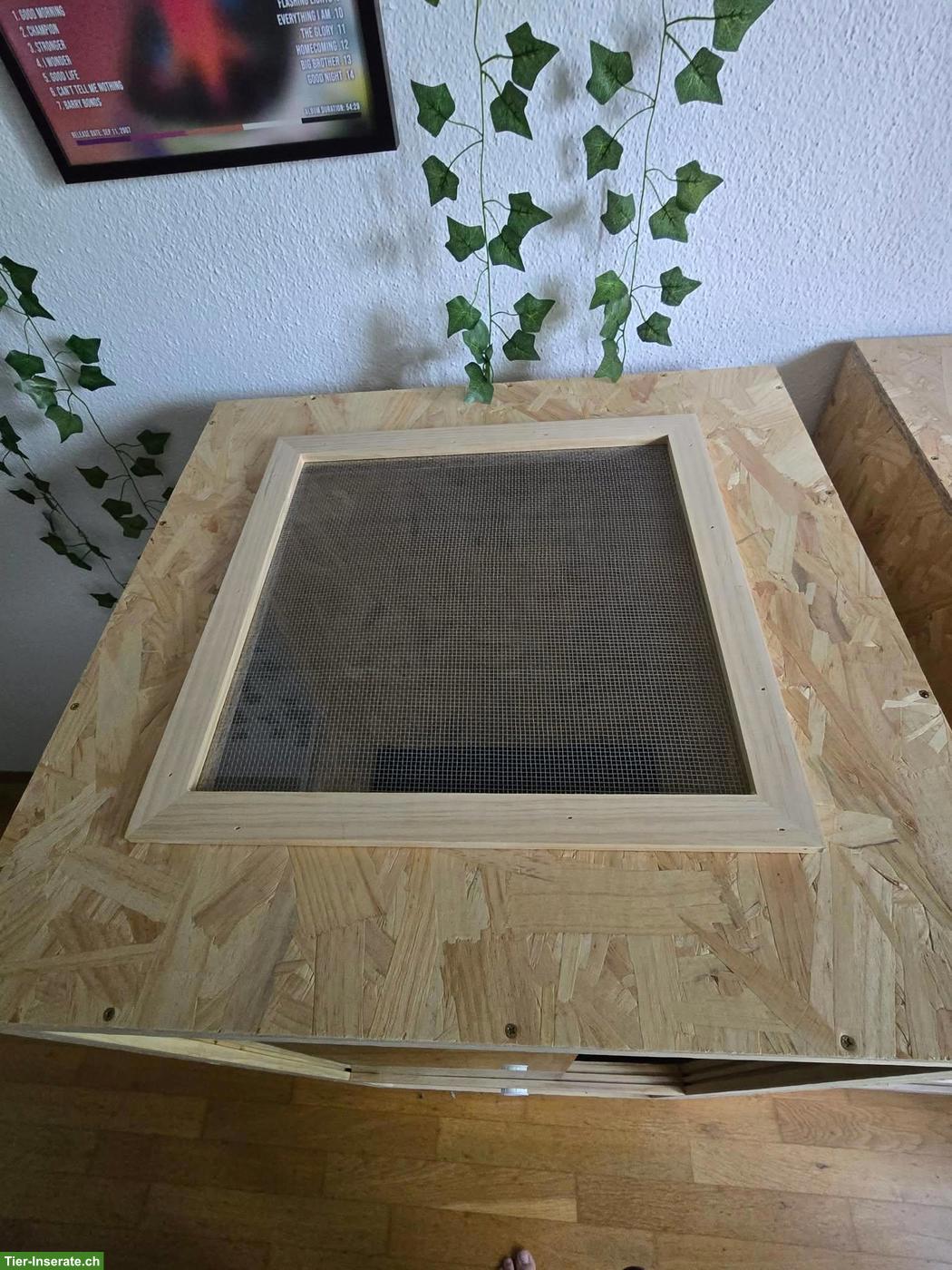 Bild 3: Hochterrarium OSB mit Ober- & Seitenbelüftung