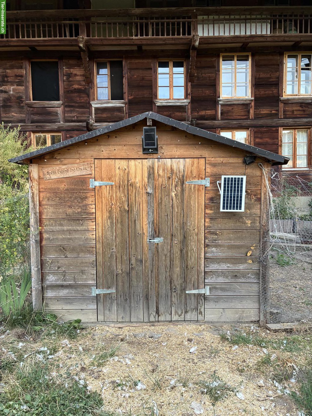 Hühnerhaus mit viel Zubehör zu verkaufen