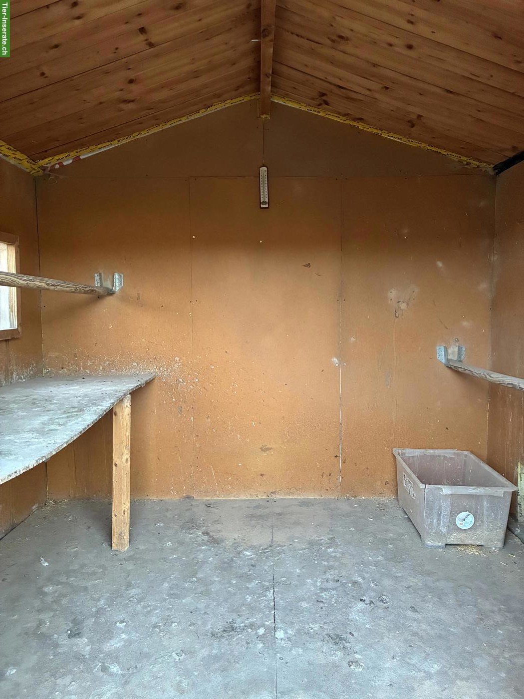 Bild 3: Hühnerhaus mit viel Zubehör zu verkaufen