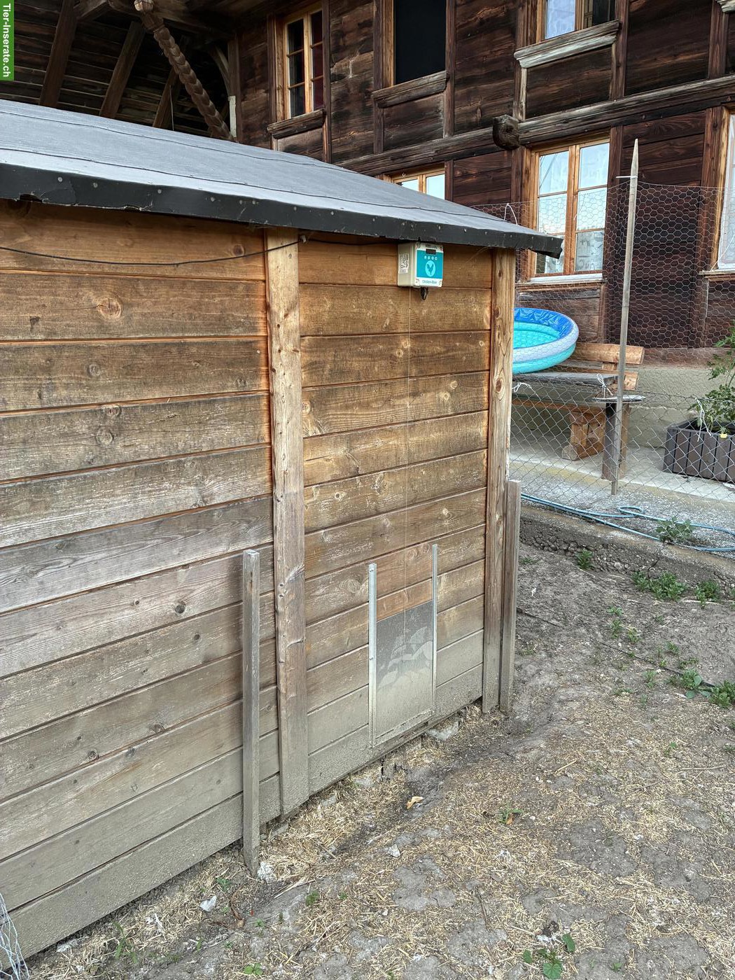 Bild 4: Hühnerhaus mit viel Zubehör zu verkaufen