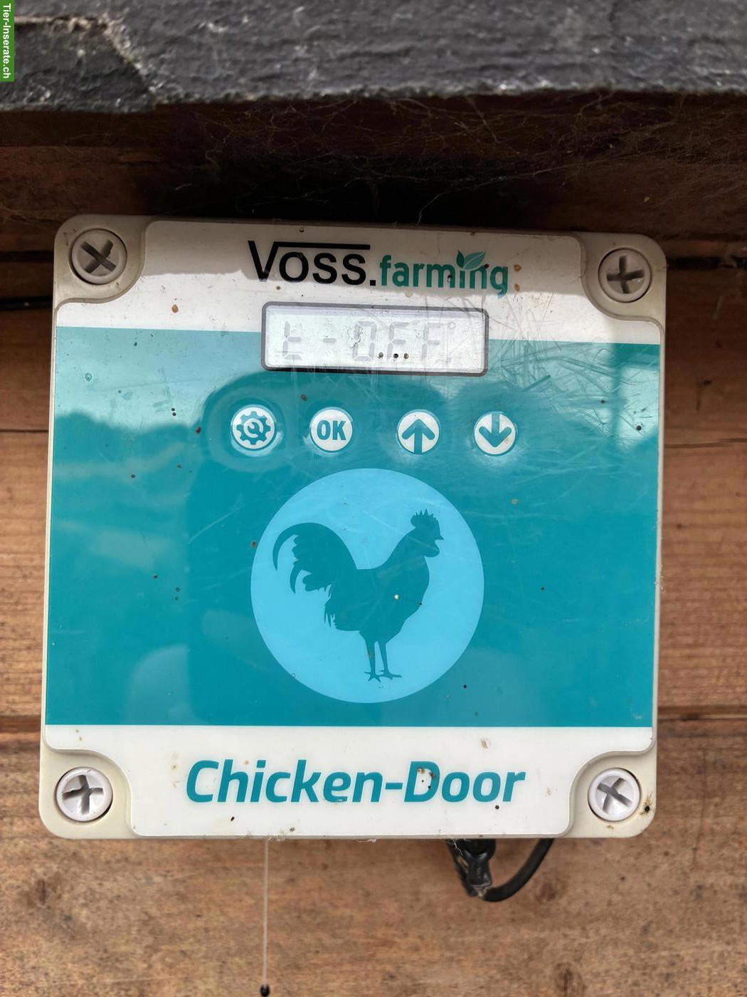Bild 5: Hühnerhaus mit viel Zubehör zu verkaufen