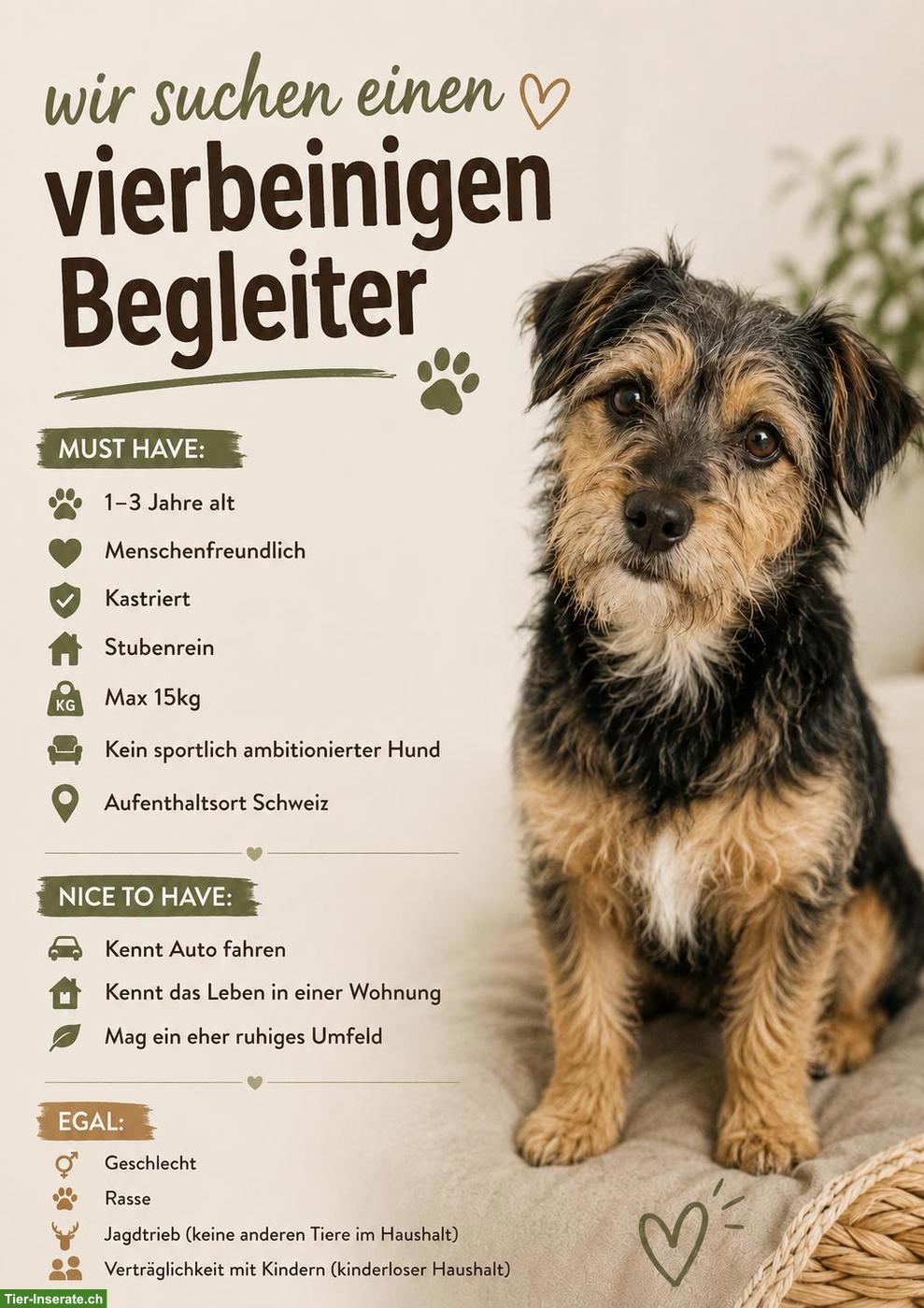 Hund fürs Leben gesucht