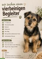 Hund fürs Leben gesucht
