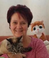 Vertrauenswürdige Katzenbetreuerin, Umkreis Fricktal AG
