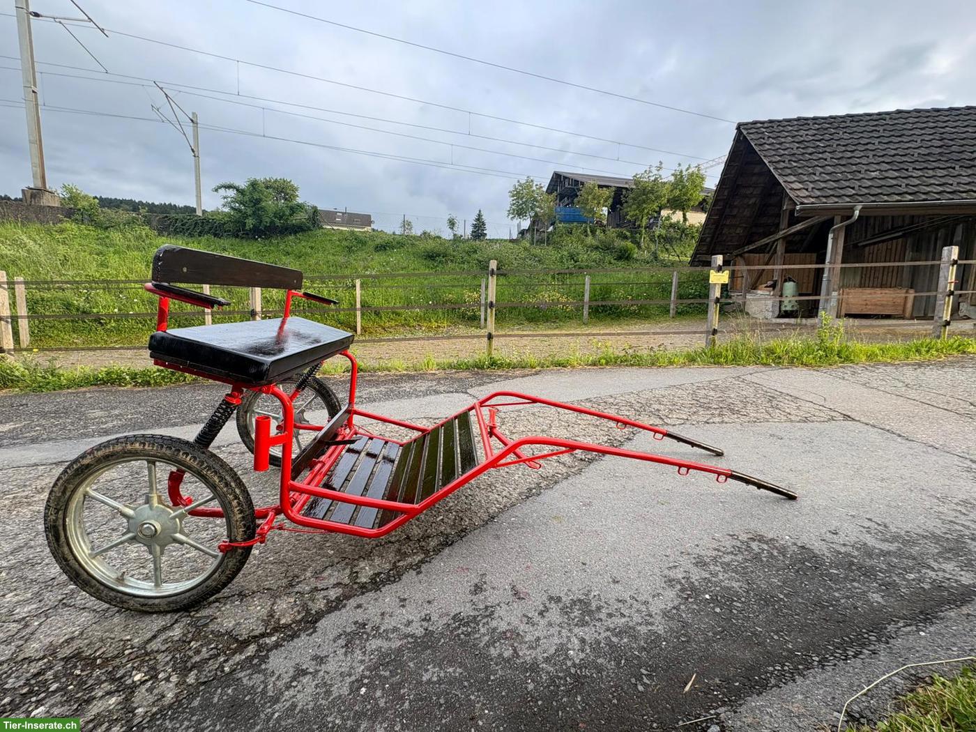 Bild 2: Shetty Sulky zu verkaufen, frisch restauriert