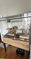 Swisspet Nagerkäfig / Nagerterrarium mit Metall-Untergestell