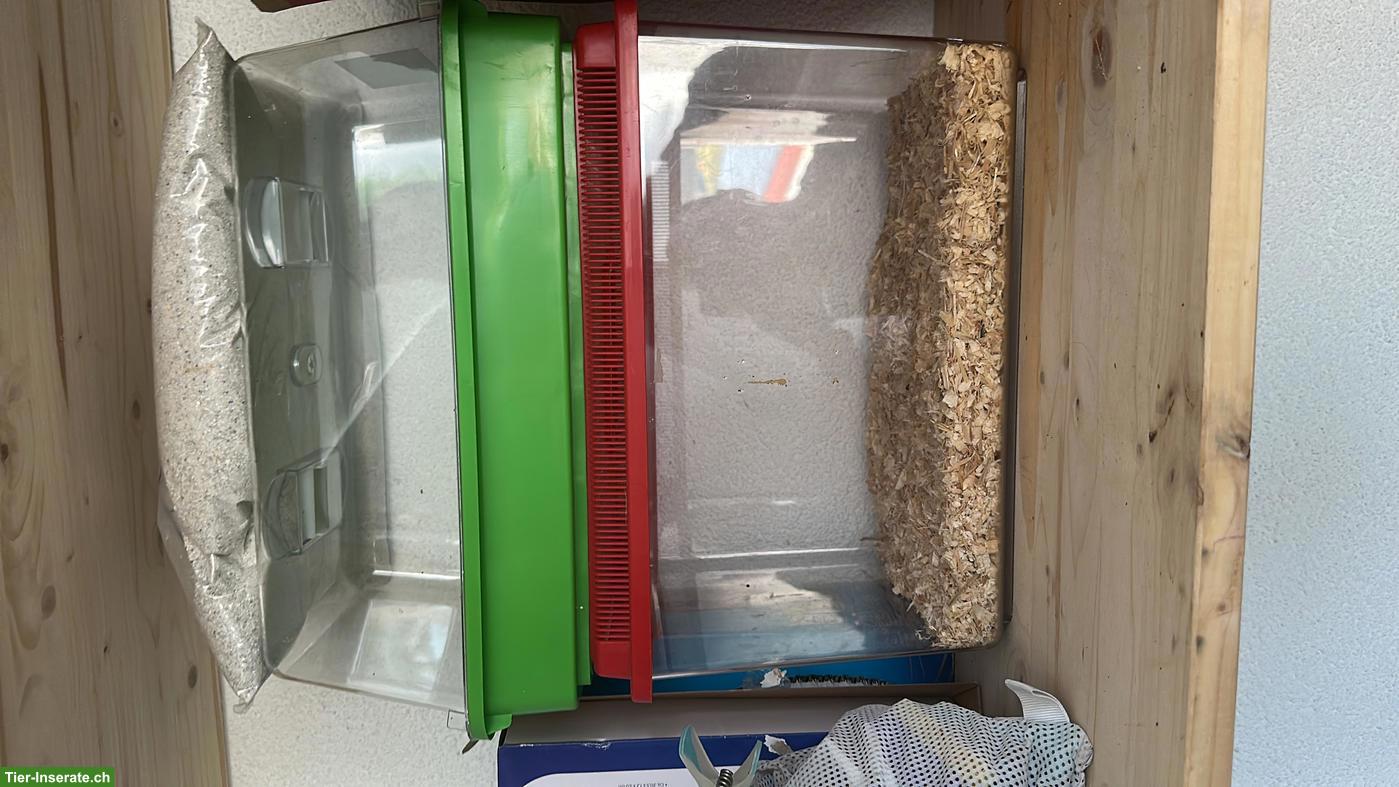 Bild 4: Swisspet Nagerkäfig / Nagerterrarium mit Metall-Untergestell