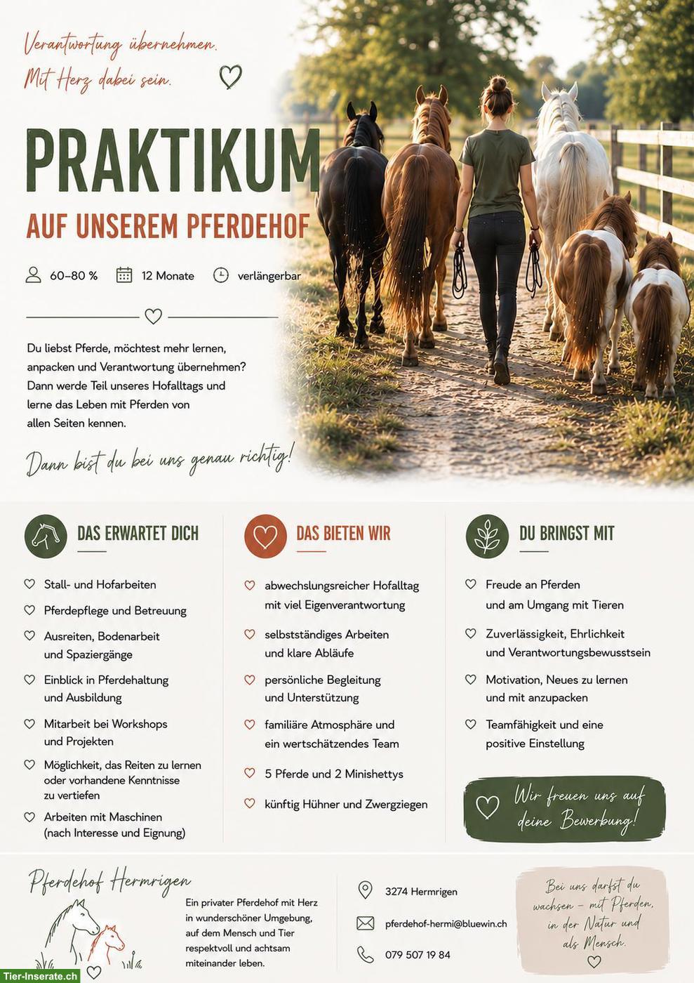 Bieten Praktikum auf unserem Pferdehof Hermi, Kanton Bern