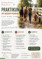 Bieten Praktikum auf unserem Pferdehof Hermi, Kanton Bern