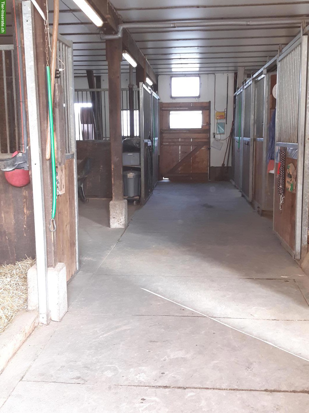 Bild 3: Fensterboxe mit grossem Auslauf frei in Bärfischenhaus BE