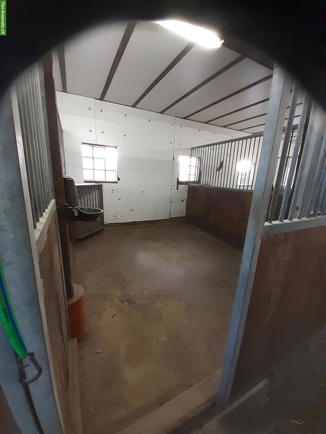 Bild 4: Fensterboxe mit grossem Auslauf frei in Bärfischenhaus BE