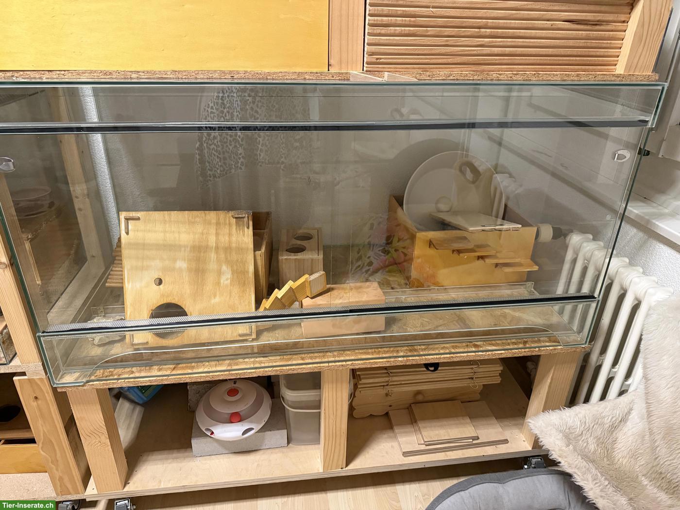 Bild 6: 2 Nager-Terrarien inkl. Möbel zu verkaufen