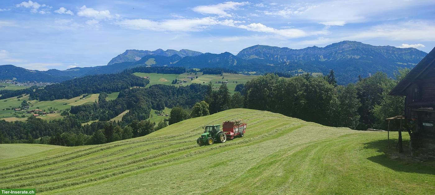 Suchen dringend Landwirtschaftlicher Mitarbeiter per sofort