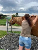 Pferdeosteopathie Bern, ganzheitliche Behandlung