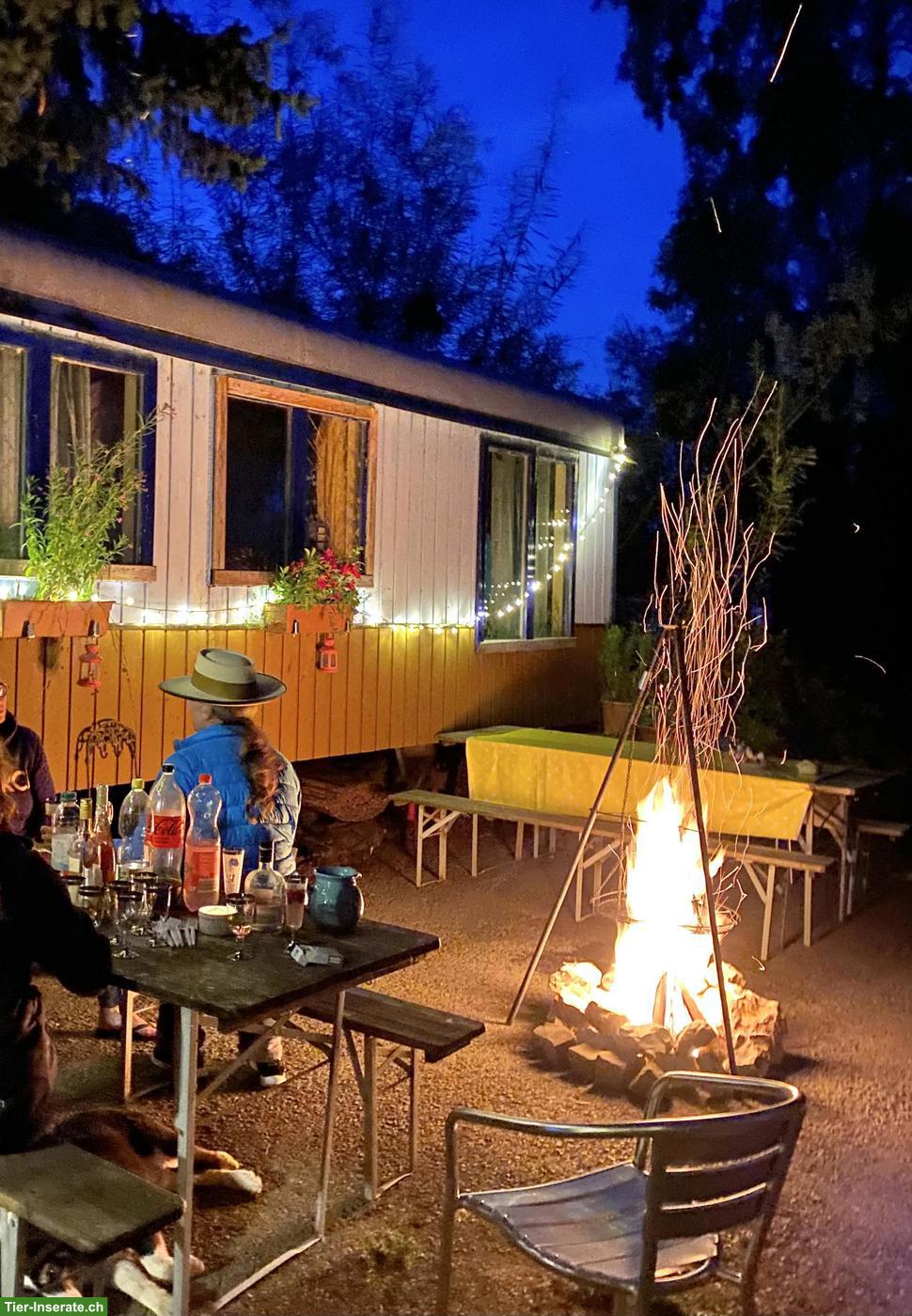 Bild 3: Ferien im Circuswagen oder Studio mit dem eigenen Pferd im Jura