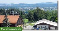 Job als Pferdefachfrau/mann, 60-100%, ab sofort